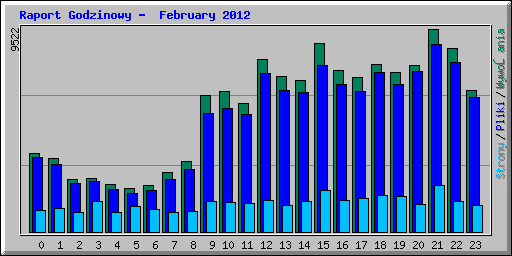 Raport Godzinowy -  February 2012