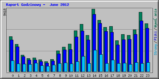 Raport Godzinowy -  June 2012