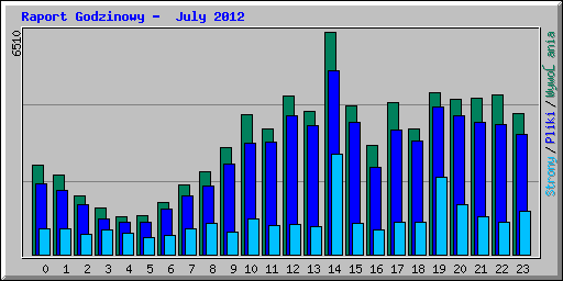 Raport Godzinowy -  July 2012